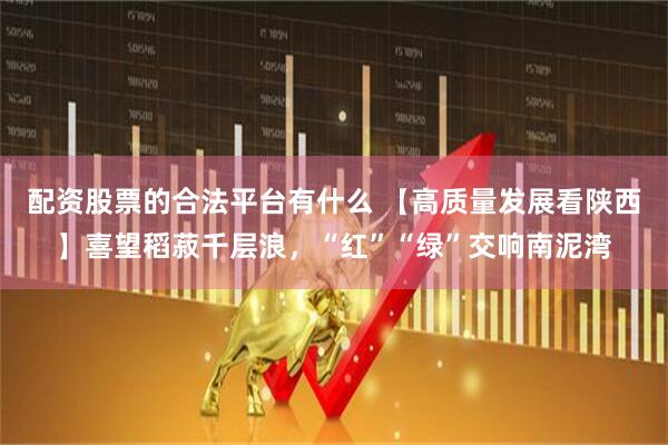 配资股票的合法平台有什么 【高质量发展看陕西】喜望稻菽千层浪，“红”“绿”交响南泥湾