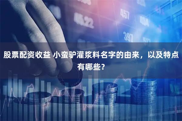 股票配资收益 小蛮驴灌浆料名字的由来，以及特点有哪些？